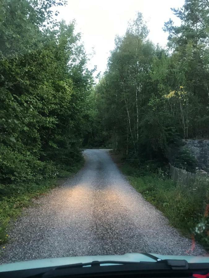 La Roulotte De Ciney Villa Kültér fotó